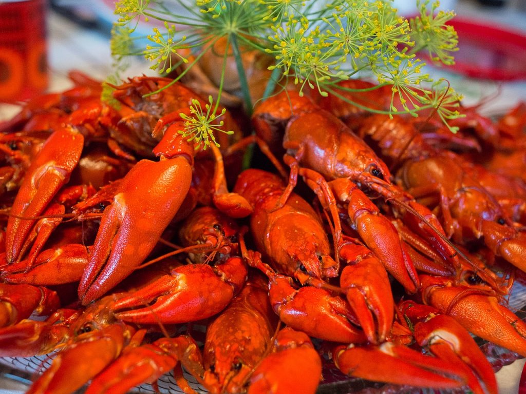 crayfish, dinner, fall-767685.jpg